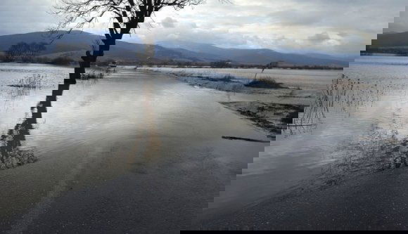 Másodfokú árvízriasztás van érvényben 11 megyében