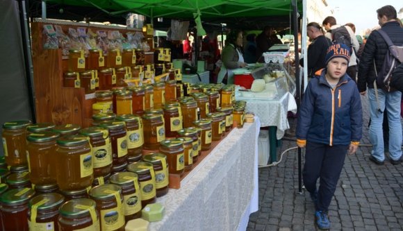 Tejjel-mézzel folynak majd az iskolák