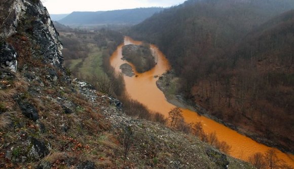 Dehogynem pusztította a halakat a Láposban a bányavíz