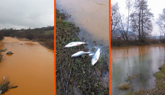 Ökológiai katasztrófába torkollt a Lápos folyó bányavizes szennyezése (VIDEÓval)