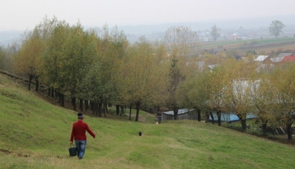 Aszfalt nincs, digitális forradalom van Románia egyik legszegényebb településén