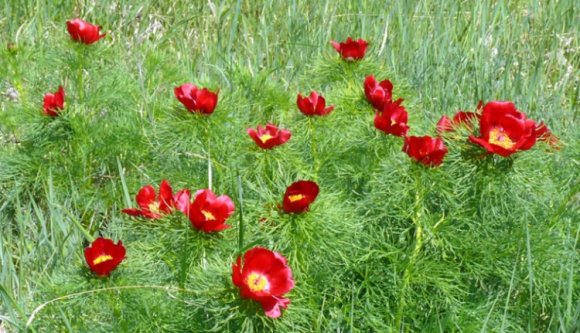 Nem tudja, miért kellene ellátogatnia Mezőzáhra? Mondjuk az okot!