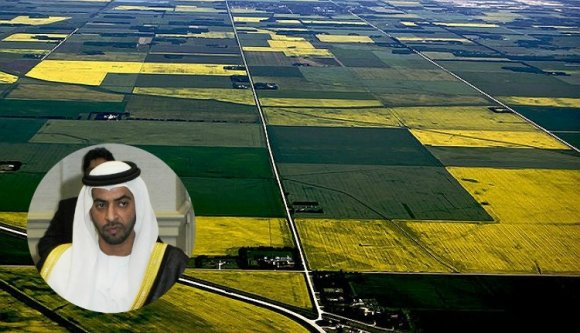 Arab kézre kerül Románia második legnagyobb szigete?