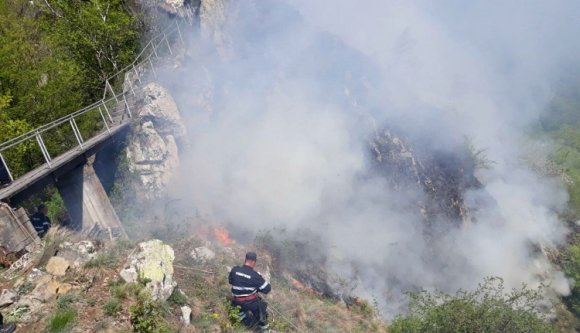 Hanyagul eldobott csikktől gyulladt ki, öt nap alatt tudták eloltani