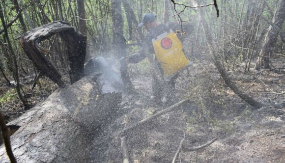 Nem hogy nem alszik ki a tűz az egyik nemzeti parkban, de tovább is terjedt (VIDEÓ)