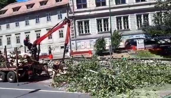 Autóbuszra dőlt egy fa Brassóban