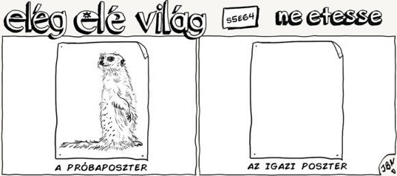 Elég elé világ – 5. évad, 64. epizód