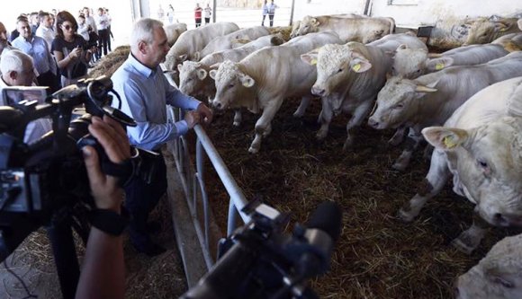 Okkult hatalom ellen hív százezreket az utcára Dragnea