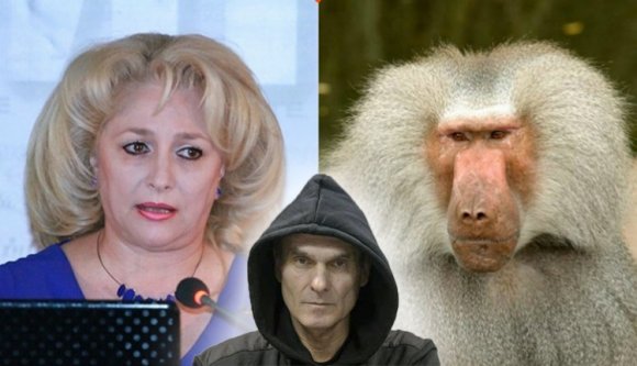 Bíróság: nyugodtan hasonlítható a galléros páviánéhoz a kormányfő hajviselete