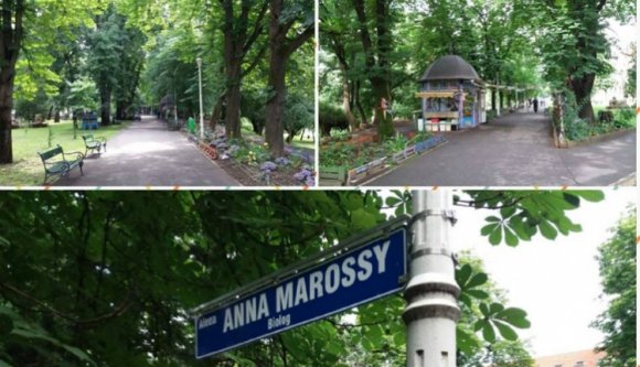 Sétányt neveztek el Marossy Anna biológusról Nagyváradon