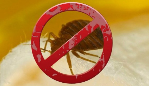 Befogná az újságírók száját az Arad megyei tanácselnök