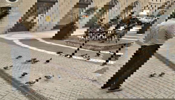 Galambokra és macskákra vadászna a nagyváradi polgármester