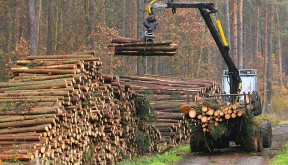 Ismét törvénytelenséggel vádolják a Schweighofert