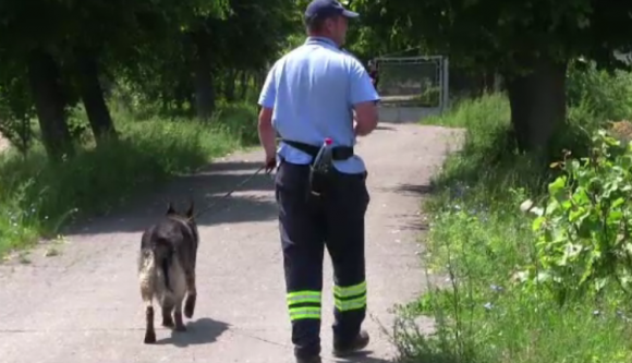 A mezőn találták meg az eltűnt Szatmár megyei kislányt