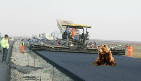 A medvék zabálják fel a mioritikus autópályákat?