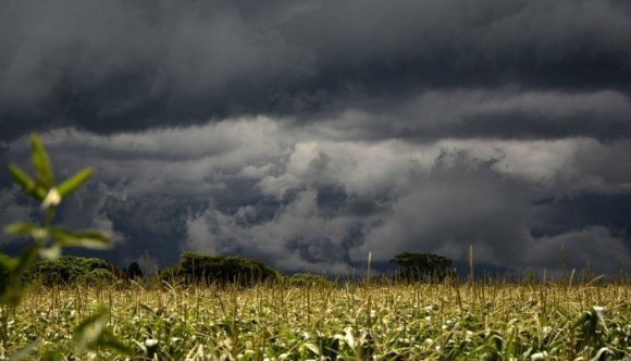 Nyolc éve nem volt annyi eső, mint június-júliusban