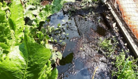 Tócsákban áll a kőolaj a román Abu Dhabiban