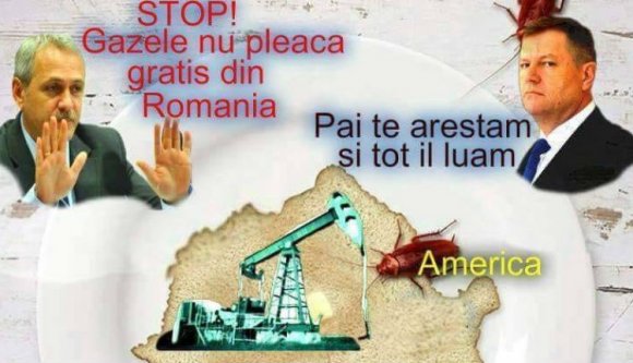 Egy kormánypárti szenátor szerint az Egyesült Államok és Németország is Románián élősködő csótány