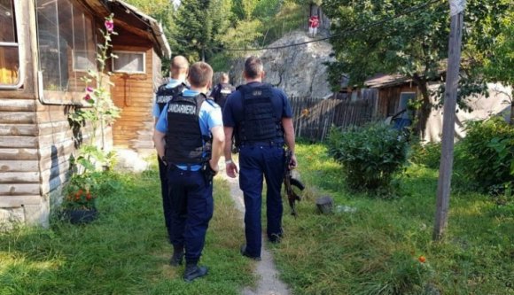 A csendőrök medvecsőszködnek Hargita megyében