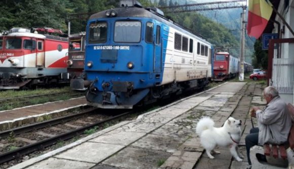 Fák bénították meg a vasúti közlekedést az ország legforgalmasabb vasúti fővonalán