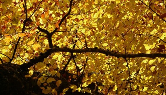 A télies szeptembervég után átlagos októberünk lesz