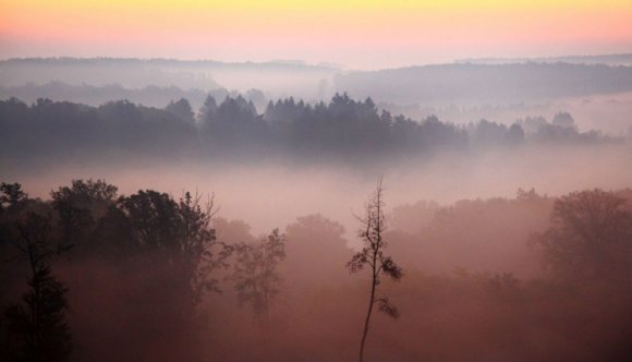 A saját érdekében mindenki vezessen óvatosan Gyergyószentmiklós környékén!