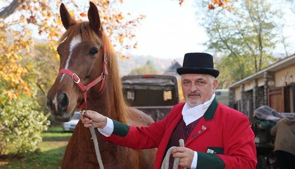 Ló hír… izé, jó hír a lószállítóknak az RMDSZ-től!