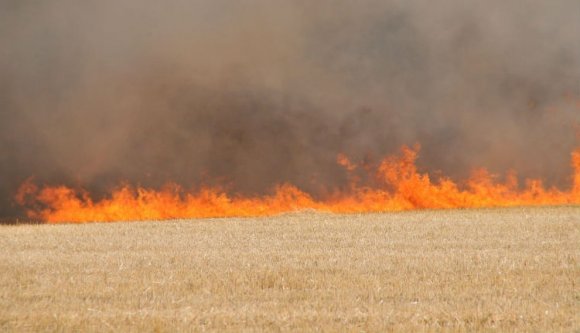 A tarlóégetés nem csak veszélyes és bunkó dolog, de irtózatosan drága is