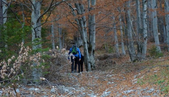 Három gyerek és három felnőtt tévelyeg a Csukás-hegységben