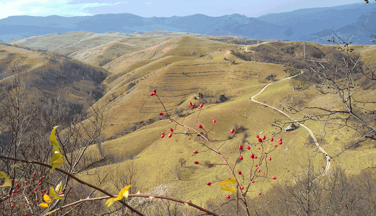 Kellemes koranyári hétvégét mindenkinek