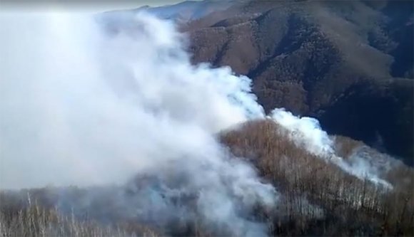 Így ég az erdő Hunyad megyében – (VIDEÓ)