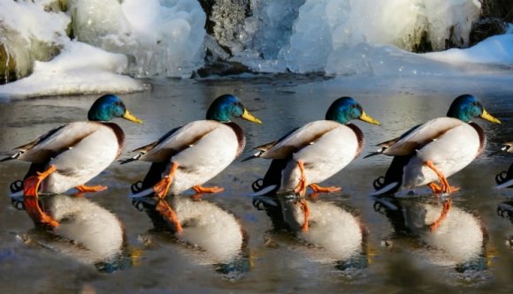 Esővel ért véget a száraz november, hóval és faggyal szakad ránk a centenárium