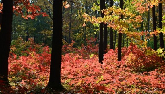 Gyorok megmutatja: ésszerűen is lehet ünnepelni