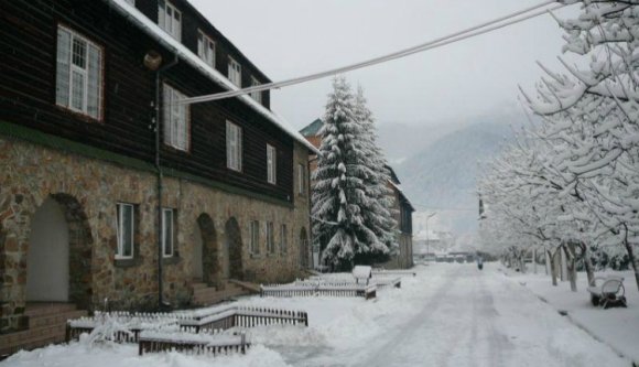 Pszichiátriára járnak a medvék Gyergyótölgyesen