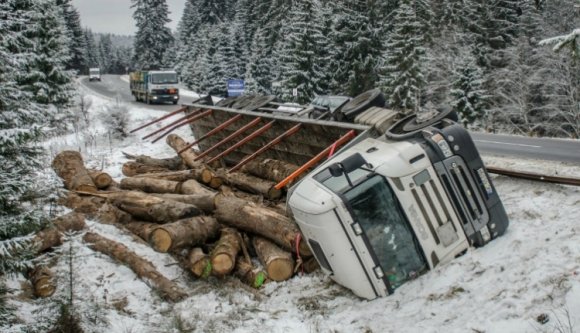 Visszakövetelte a hargitai fenyveserdő, ami az övé