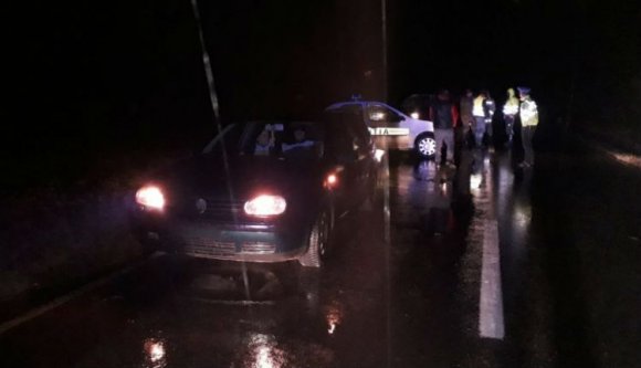 Szeben megyében lassan a közutak részévé nyilváníthatják a medvéket