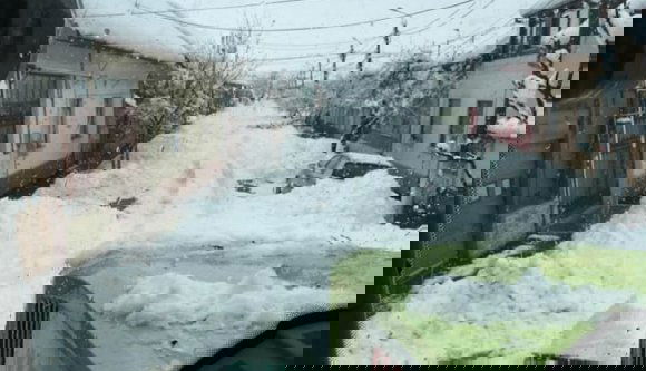 Beütött a hóapokalipszis a Bánságban