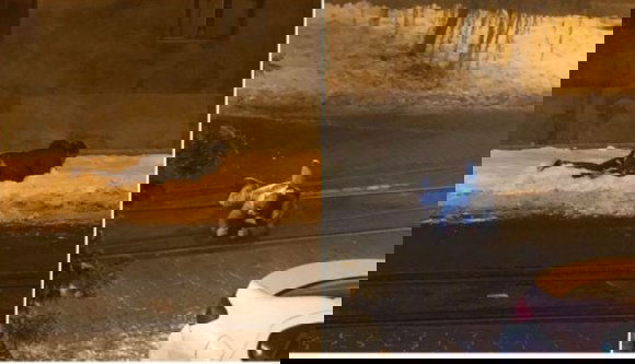 Zombiinvázió Aradon is (VIDEÓval)