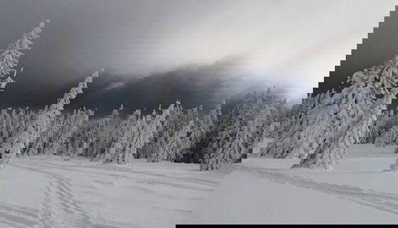 Rájár a rúd a buszokra a havazásban