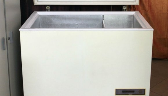 Megijedt az apja holttestétől: a fagyasztóládába rejtette