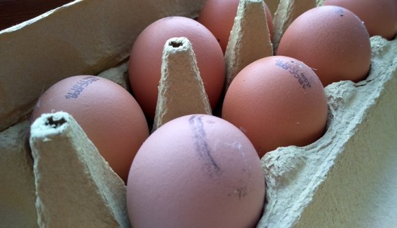 Több millió mérgezett tojást találtak Teleorman megyében