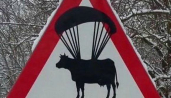 Égből pottyanó tehénre figyelmeztet egy jelzőtábla Hunyad megyében