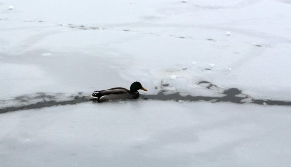 Nem lesz valami kellemes időjárás a „kis egyesülés” évfordulóján