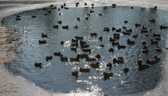 Az átlagosnál melegebb idővel kezdődik február