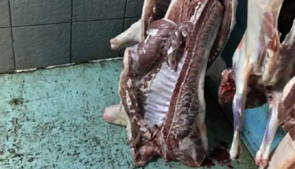 Sertéspestisgyanús magyar disznóhúsra csaptak le a román hatóságok