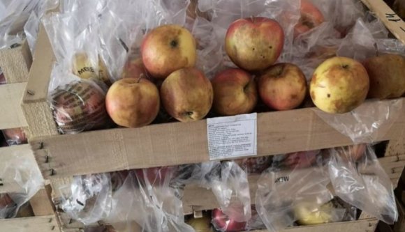 Rothadt almát etettek volna a diákokkal a tej-kifli program lebonyolítói