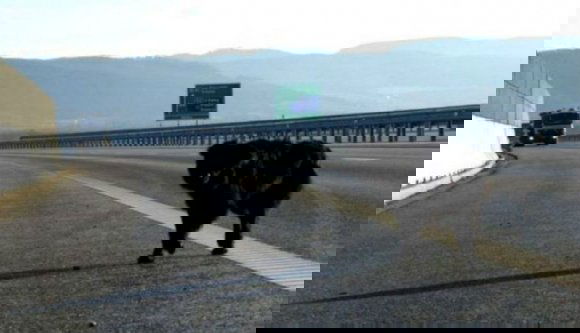 Fizethet az autópályák üzemeltetője, amiért a hanyagsága miatt balesetet szenvedett egy autó