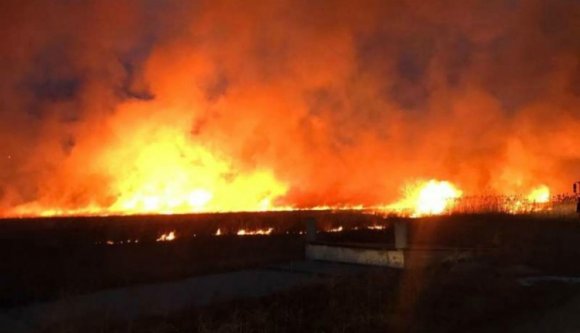 Le kellett zárni a Brassó–Szeben országutat a rohamosan terjedő tarlótűz miatt