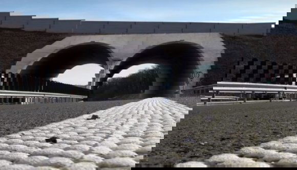 Hol megy át a medve az autópályán? Nem a zebrán. Mutatjuk! (VIDEÓval)