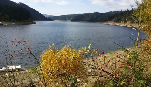 273 km-nyi tavat úsznak át